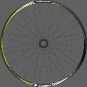 AROS-MODELOS-elegido-LIME